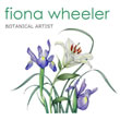 Website built for Fiona Wheeler, Botanical Artist