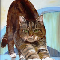 Cat portrait art by Sarah James