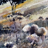 Thistles Evening Sunlight – Watercolour Painting by Reading Guild of Artists member Richard Cave