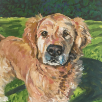 Dog Portrait – Max – Cookham Animal Artist Karen Davies