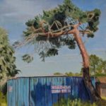 Lonesome Pine – Sky Arts LAOTY Submission Painting – Berkshire Artist Shelagh Casebourne