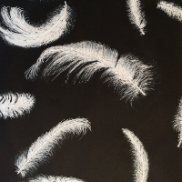 Falling Feather - Angels are Near - White on Black Painting - Contemporary Berkshire Artist Lee Driver