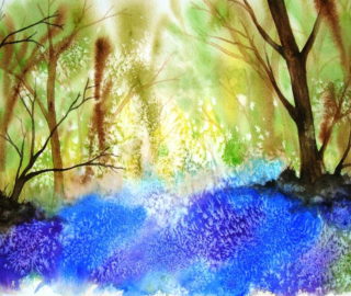 Bluebell Wood - Watercolour by Henley Art & Crafts member Simon Pink