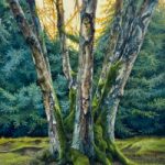 Birch Trees, Heather Valley Gardens, Windsor Great Park, Berkshire – Oil Painting by Artist Yana Kucheeva