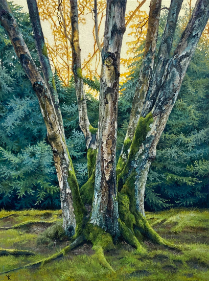 Birch Trees, Heather Valley Gardens, Windsor Great Park, Berkshire - Oil Painting by Artist Yana Kucheeva