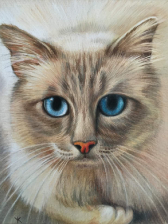 Pet Portraits - Blue Eyed Cat by Animal Artist Yana Kucheeva
