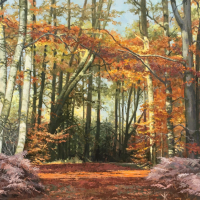 Swinley Forest, Berkshire – Autumn – Oil Painting by Landscape Artist Yana Kucheeva