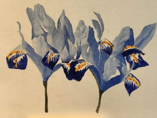 Dwarf Irises - Floral Art by Rachel Goffredo