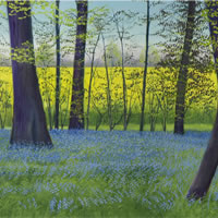 Art - Cool Blue Wood - Painting of Bluebells