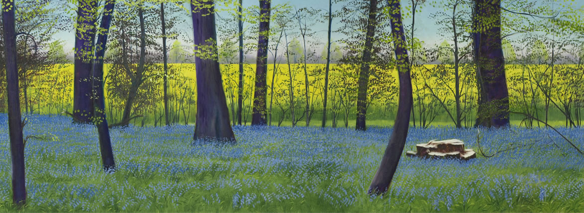 Art Gallery - Cool Blue Wood - Painting of Bluebells - Caversham Reading Berkshire Artist Michael Norcross