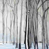 Snowy Chazey Wood – Winter Art Gallery – Landscape Painting by Caversham Artist Michael Norcross