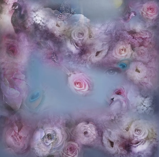 Oil Painting by Newbury Berkshire Artist Ruma Husain - Swans_in_Heaven Oil Painting by Newbury Berkshire Artist Ruma Husain - Swans_in_Heaven